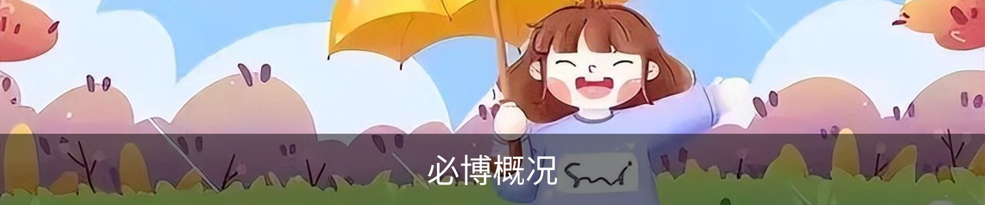 必博概况